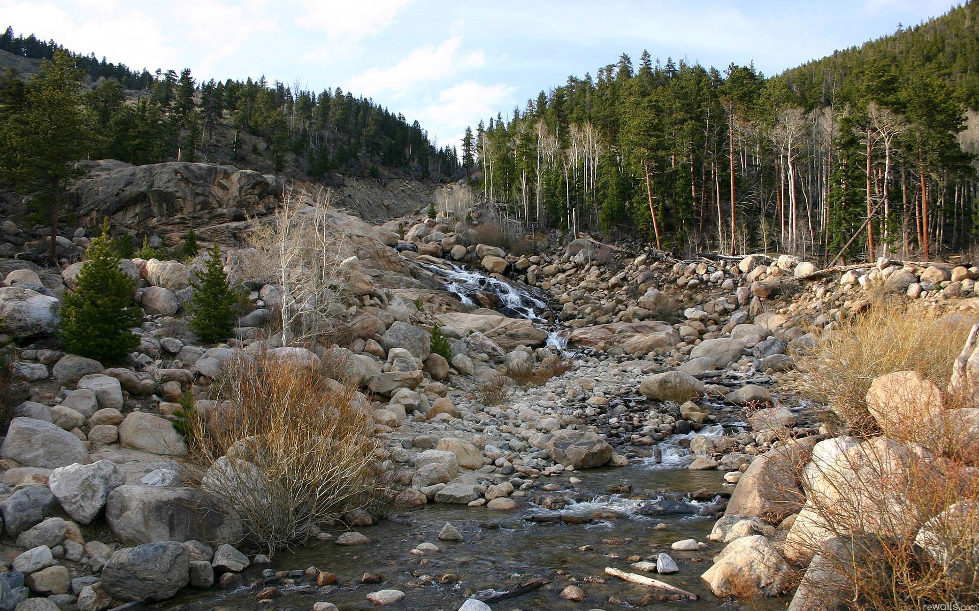 forest slope sky river stones feed landscape