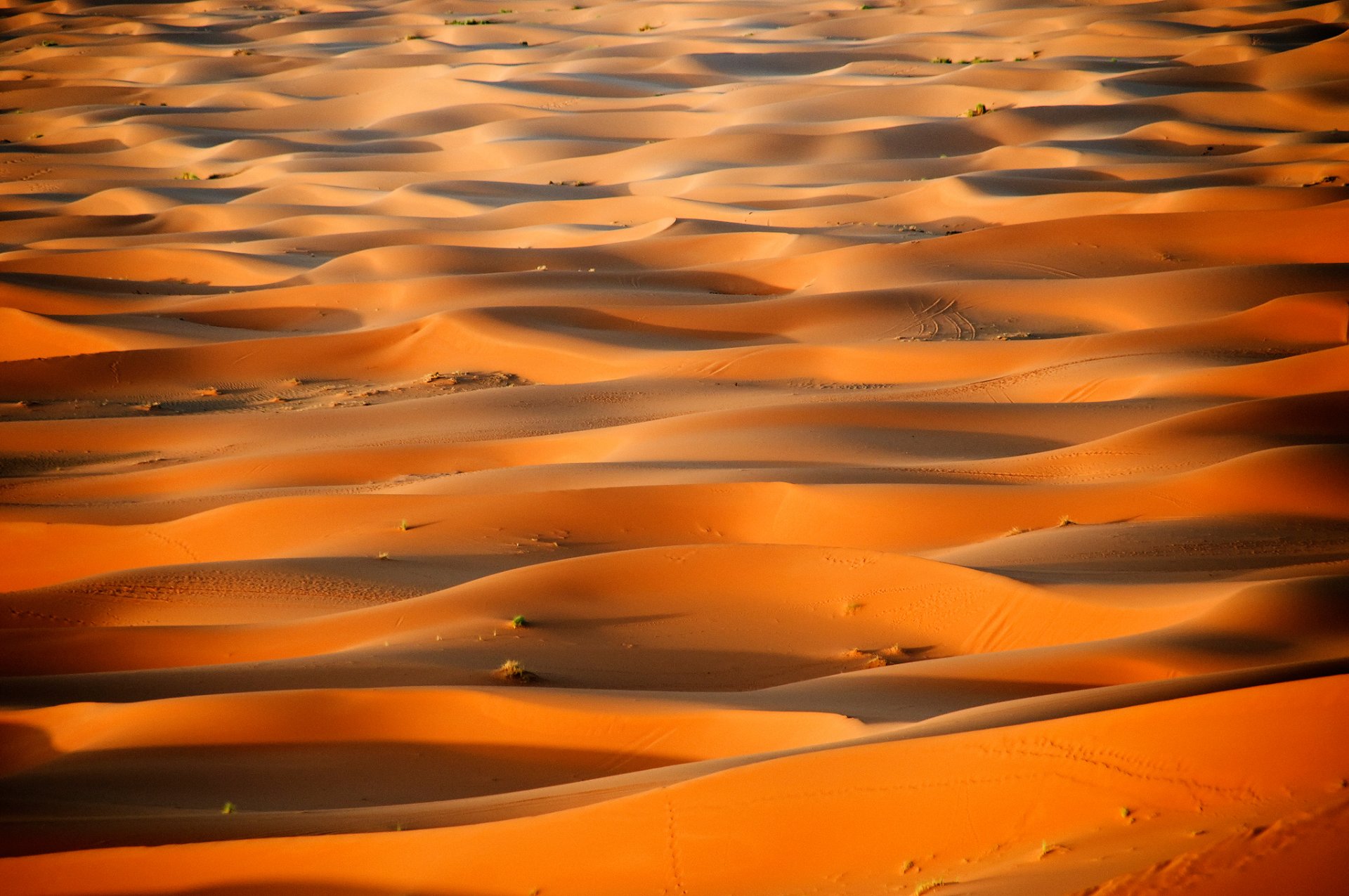 africa morocco desert sugar dune