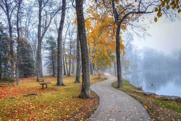 A wonderful view opens from the park bench