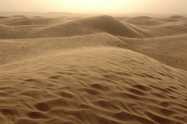 Sandy winds on the dunes of the hot desert