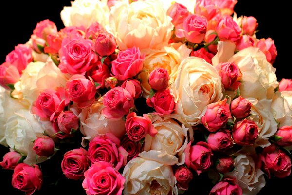 A gorgeous bouquet of roses on a black background