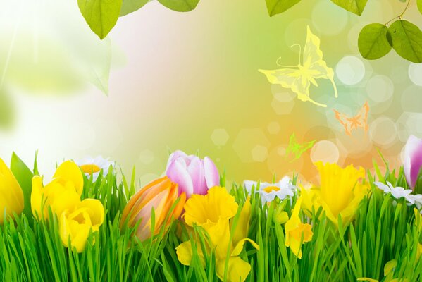 Yellow and pink flowers in the grass