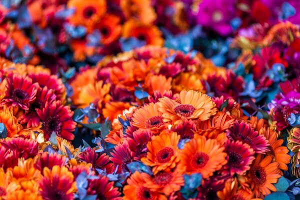 Bright orange and red bouquets