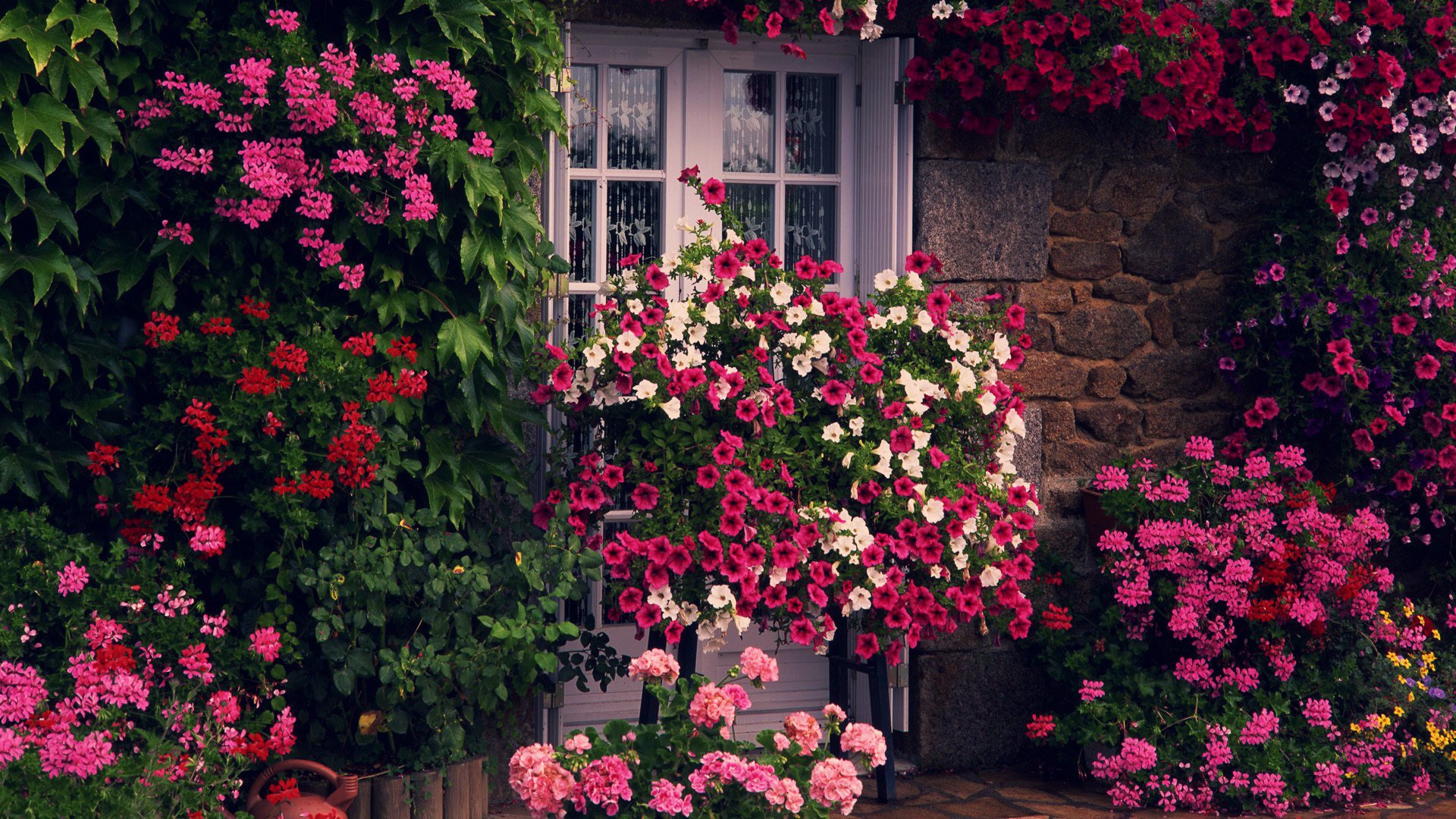 flower green house doors wall