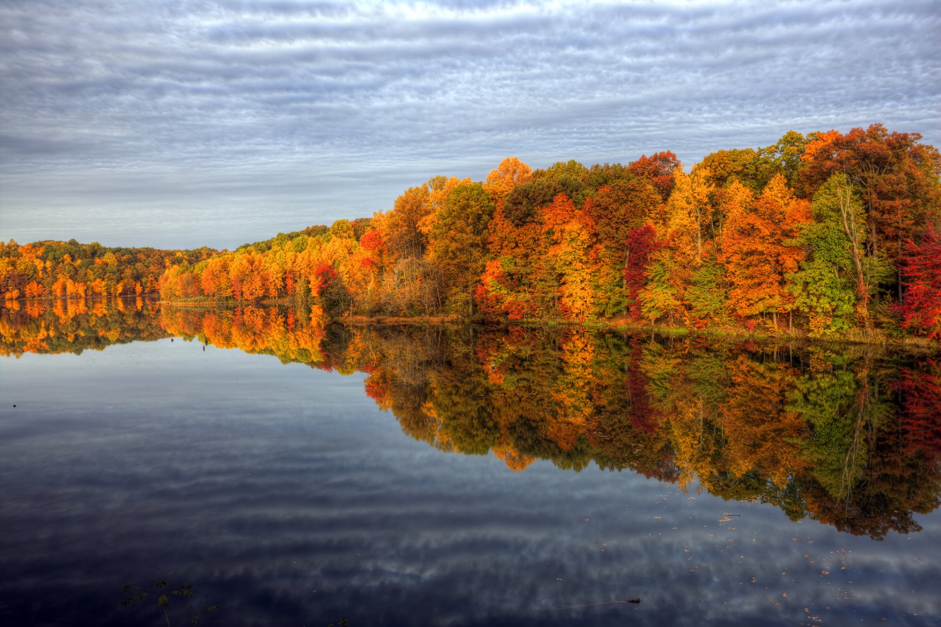 nature autumn paint water tree sky reflection