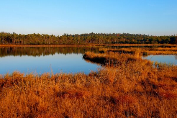A clear lake among dry grass. Autumn