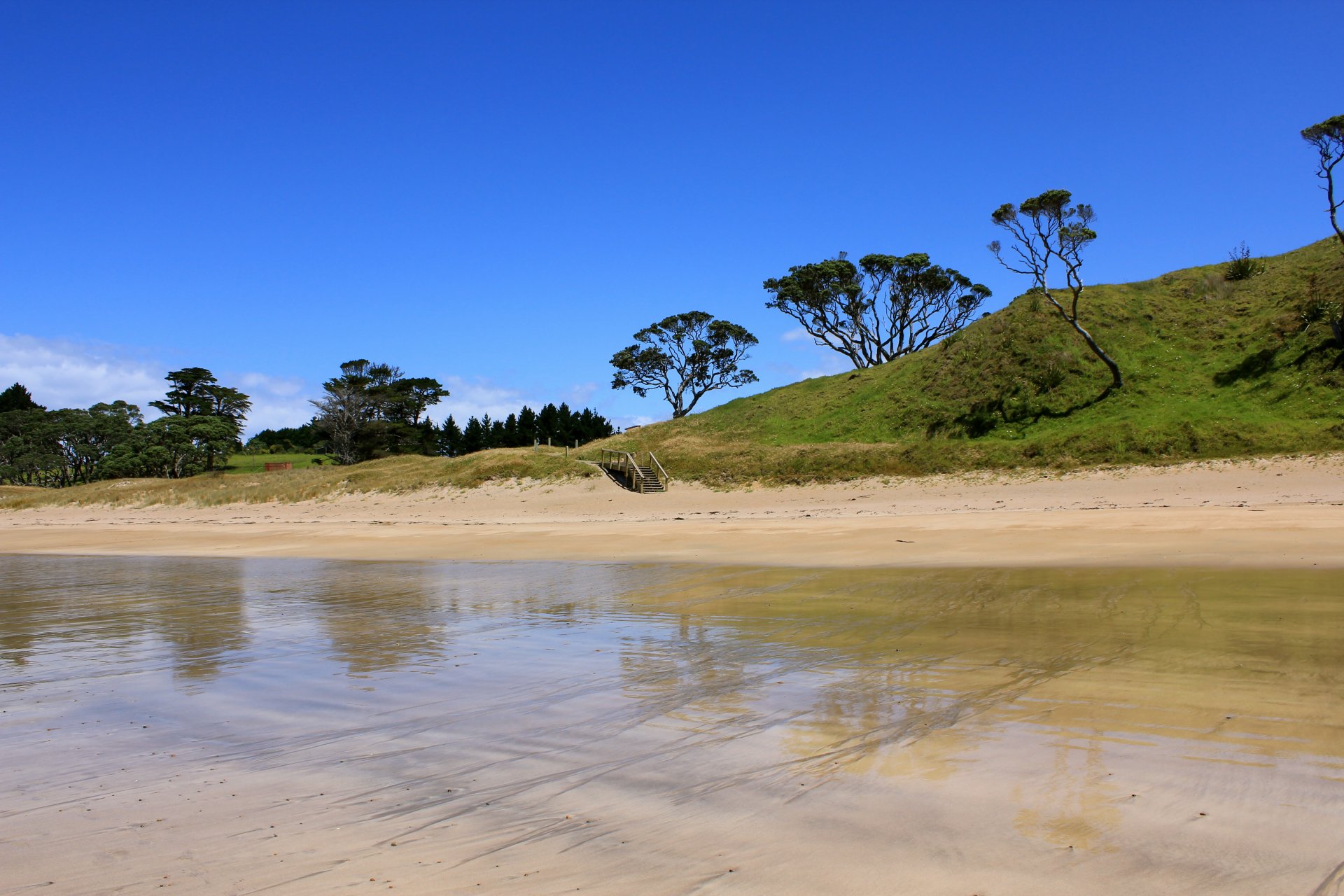 beach river lake water tree stranded solar stairs a step