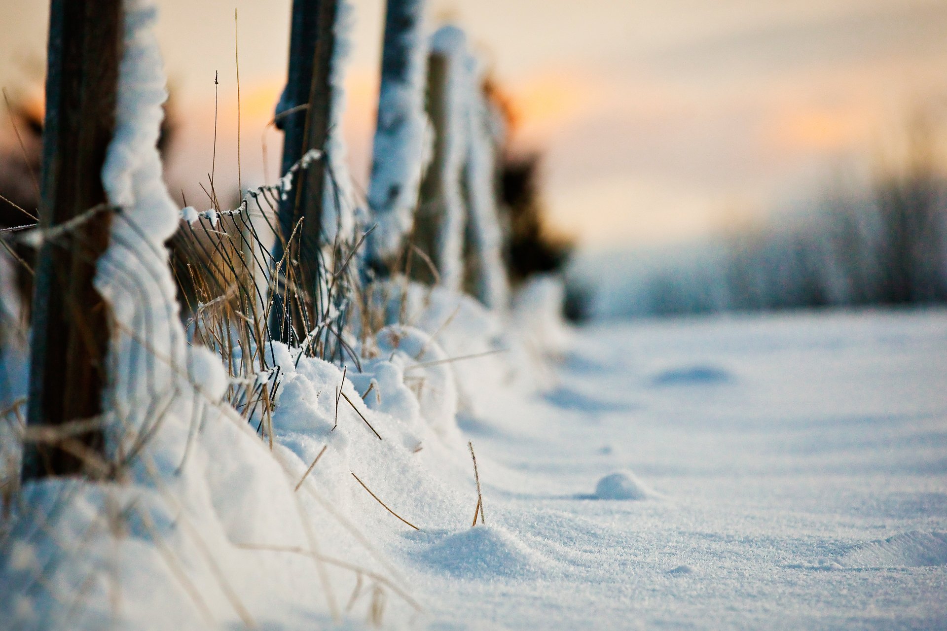 close up winter snow fence night