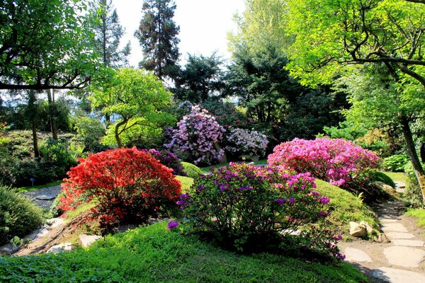 Park alley with beautiful flowers
