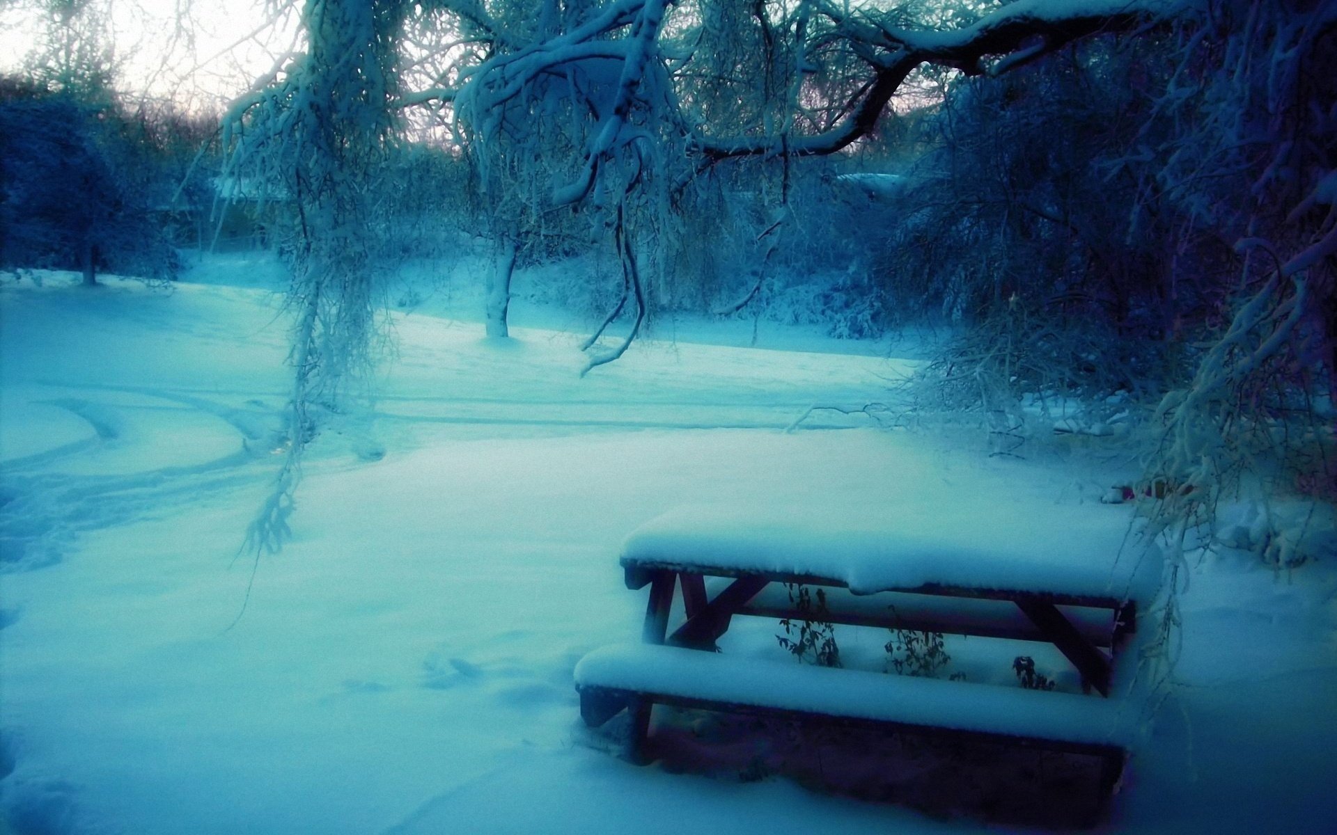 winter snow park tree bench table blur