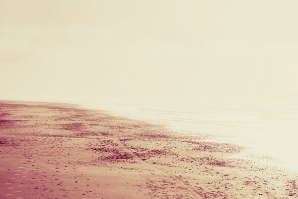 Landscape of a sandy beach with footprints