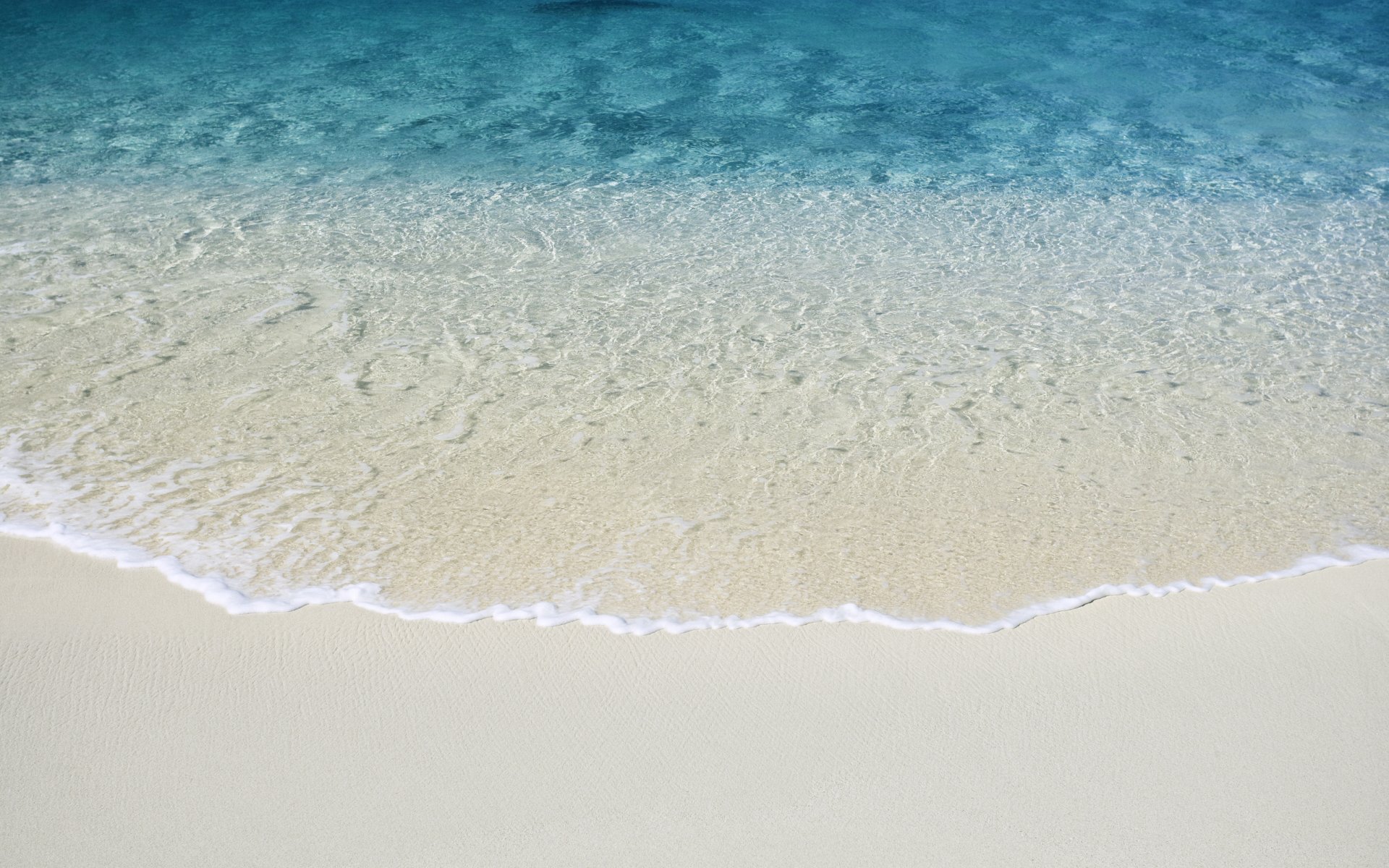 and sea beach ocean water