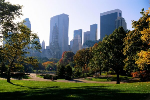 Beautiful park in New York