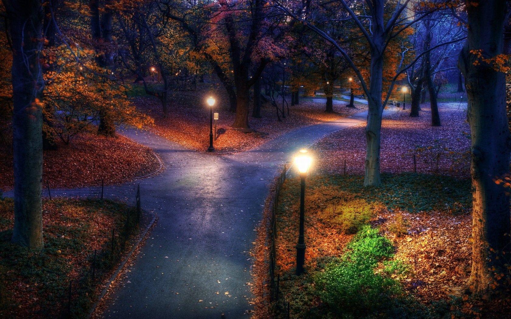 night park road