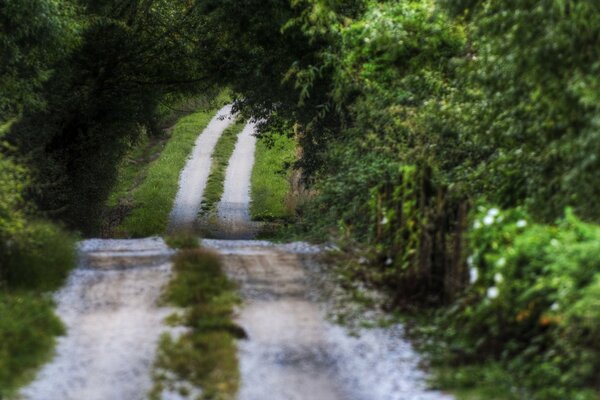 A romantic road among a picturesque landscape