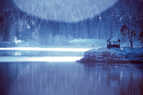 Winter lake looks at the frozen forest
