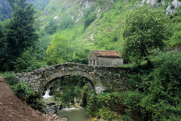 A house In a magical land