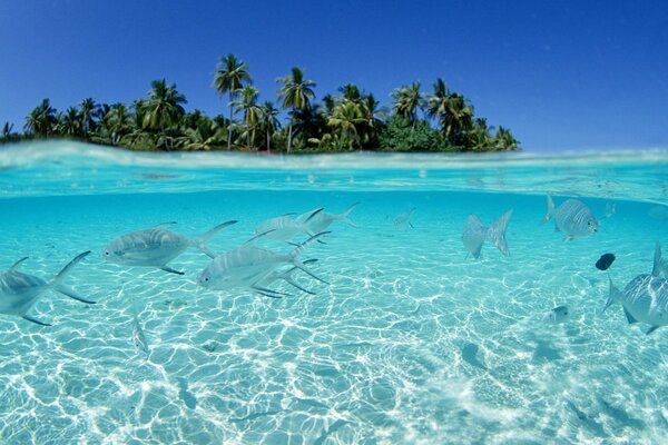 Highlights at the bottom of the water