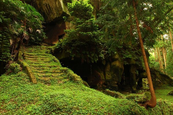 An abandoned temple in the depths of the forest