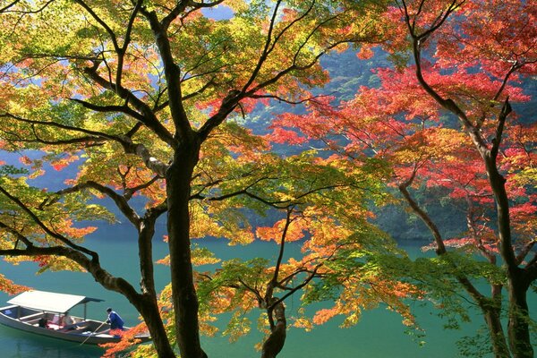 Autumn trees on the background of a floating boat