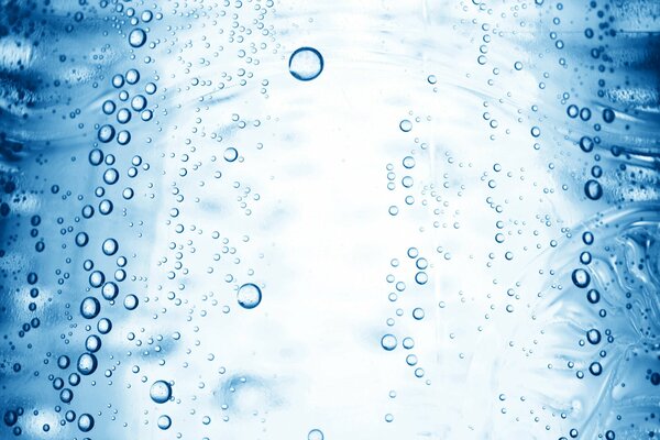 Gas bubbles in a water bottle