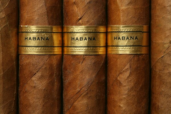 Brown Cuban cigars gold label close-up