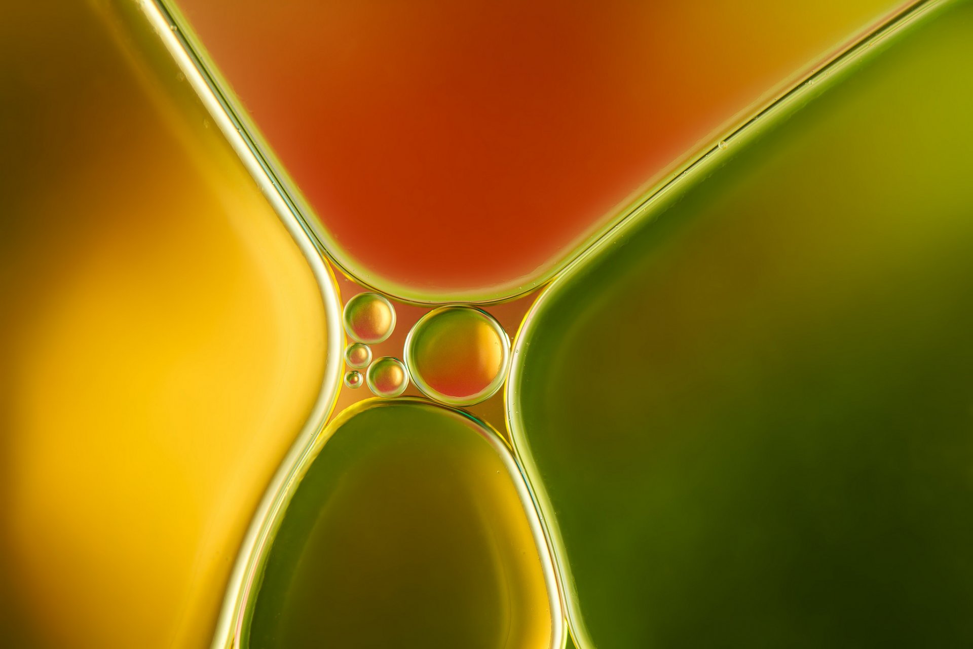 flowers volume bubbles water oil the liquid