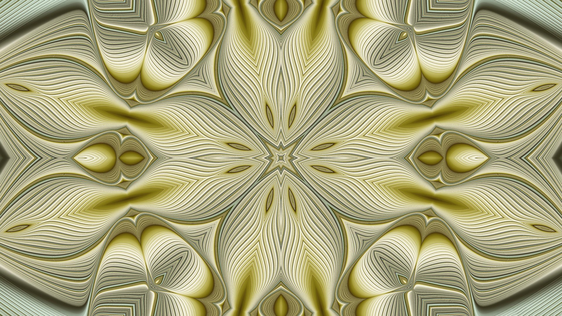 light flowers pattern symmetry volume