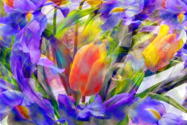 Orange tulip in irises in the meadow