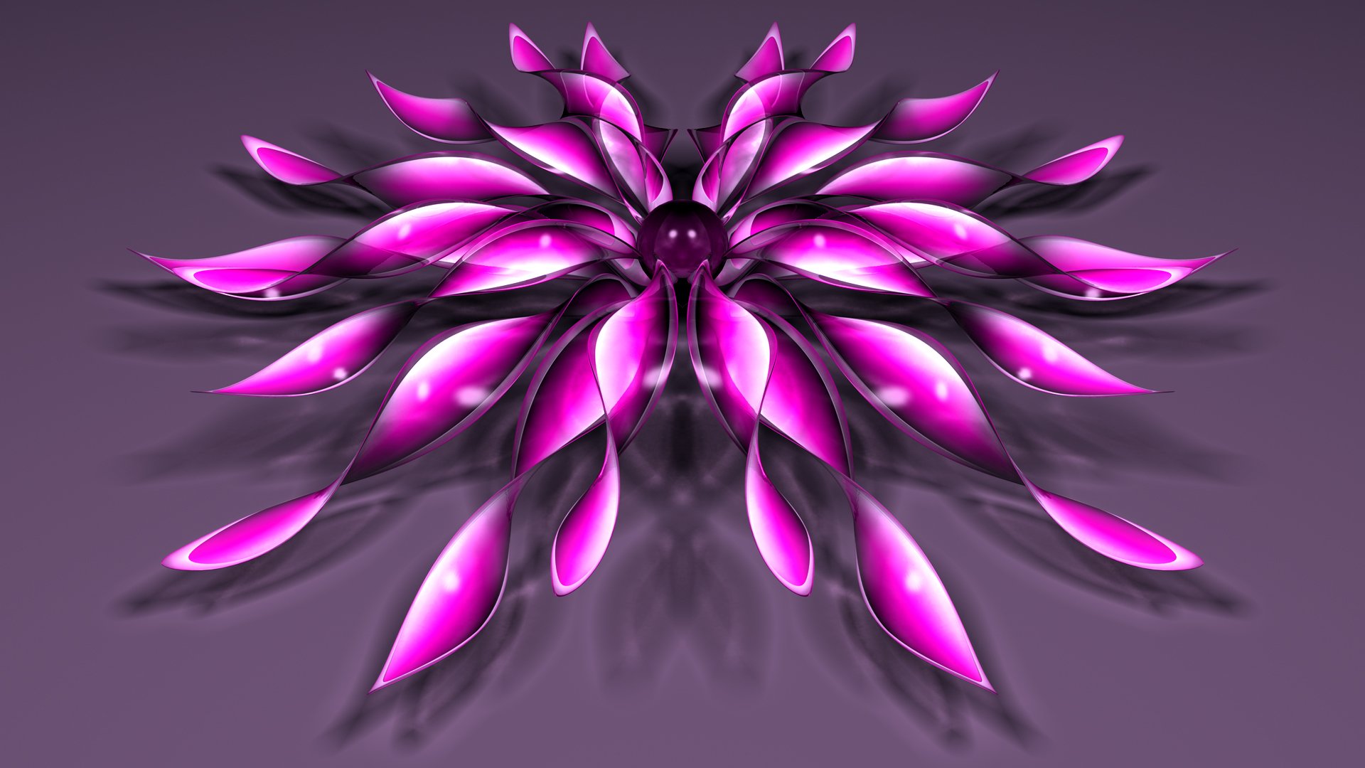 flower petals ball background