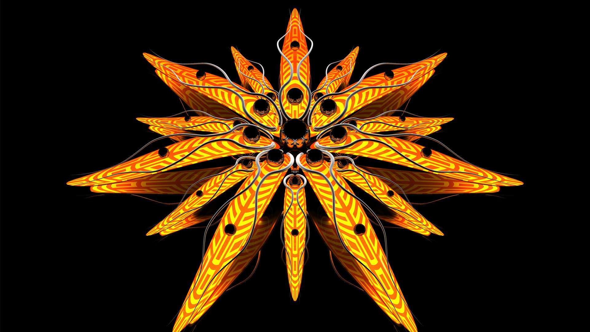 abstract flower line