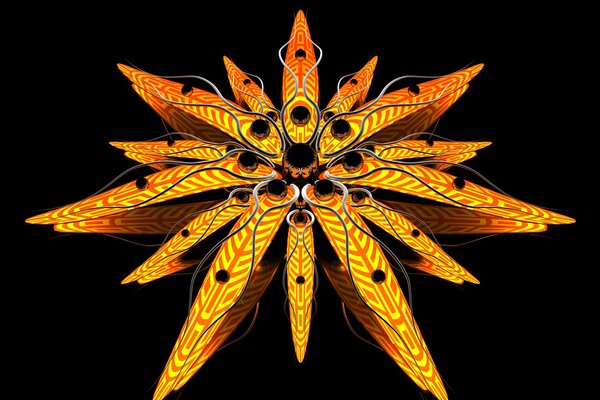 Flower lines in abstraction