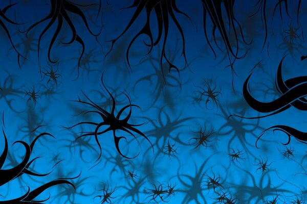Black patterns on a blue background