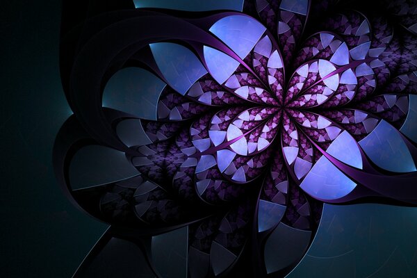 White-purple abstract flower