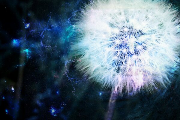 Dandelion as an energy source on a blue background