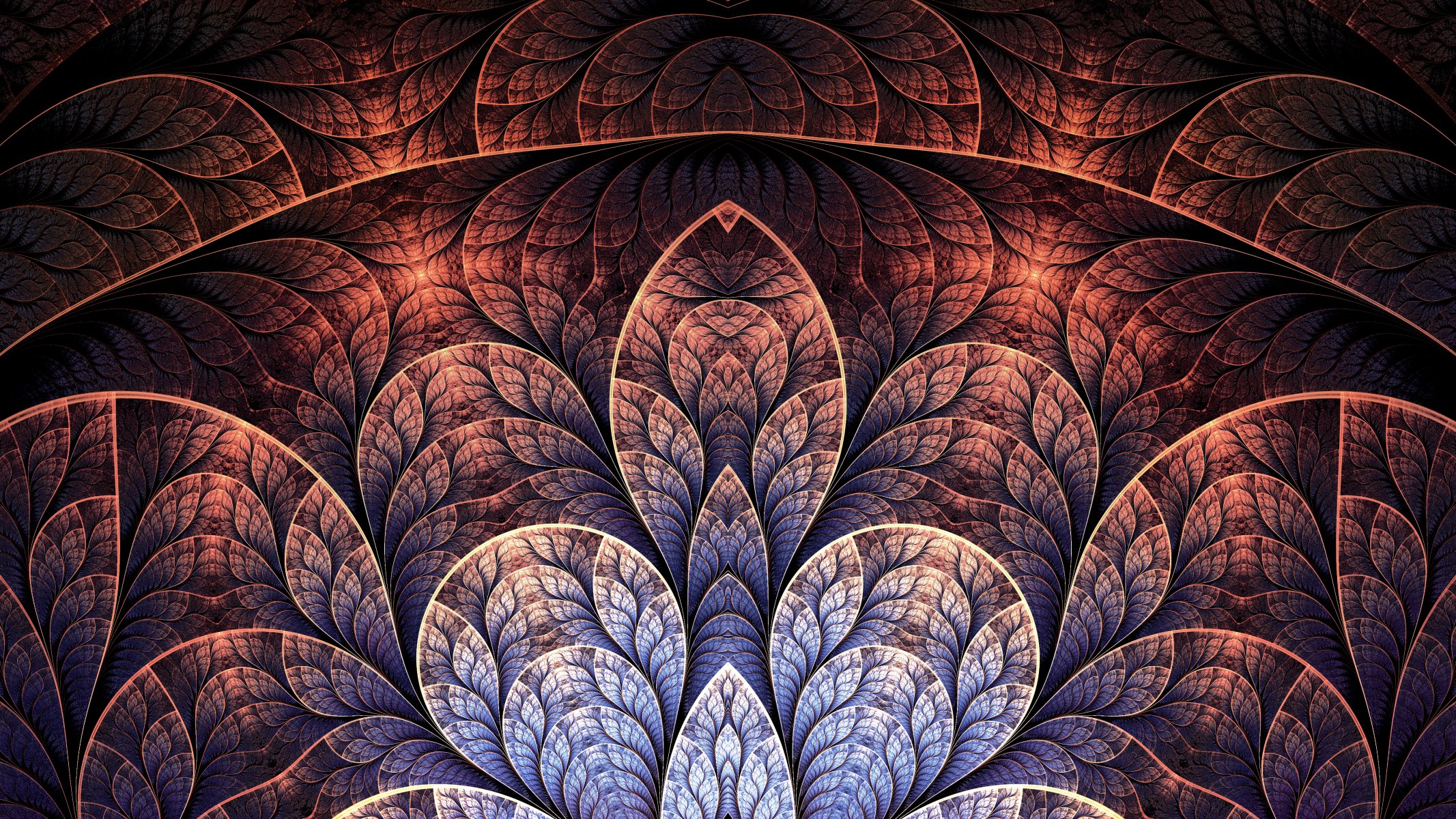 fractal art patterns line petal