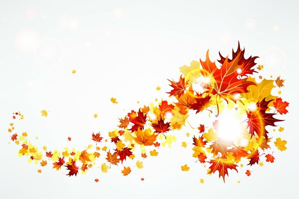 Autumn leaf fall of colored maple leaves