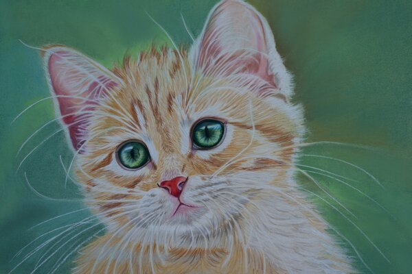 The plaintive look of a red kitten