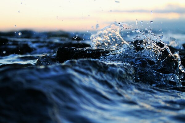 Water element - macro snapshot