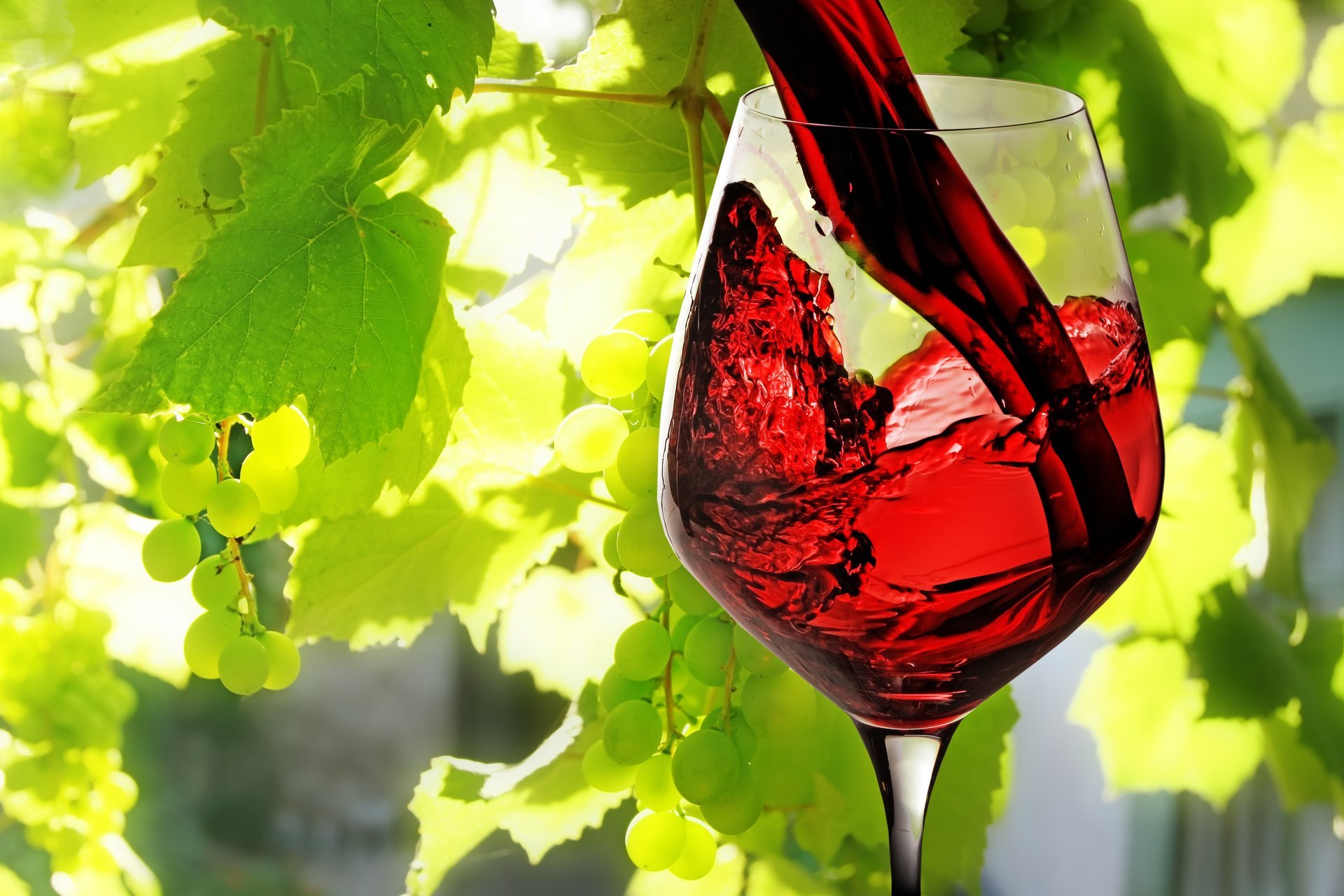 wine red poured glass leaves grape