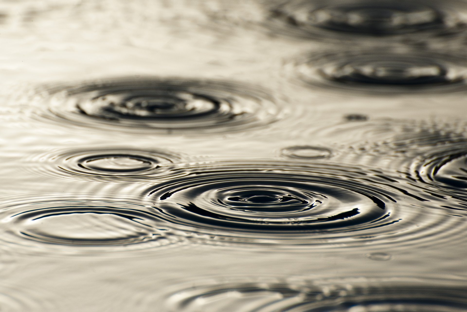 rain water drops following divorce