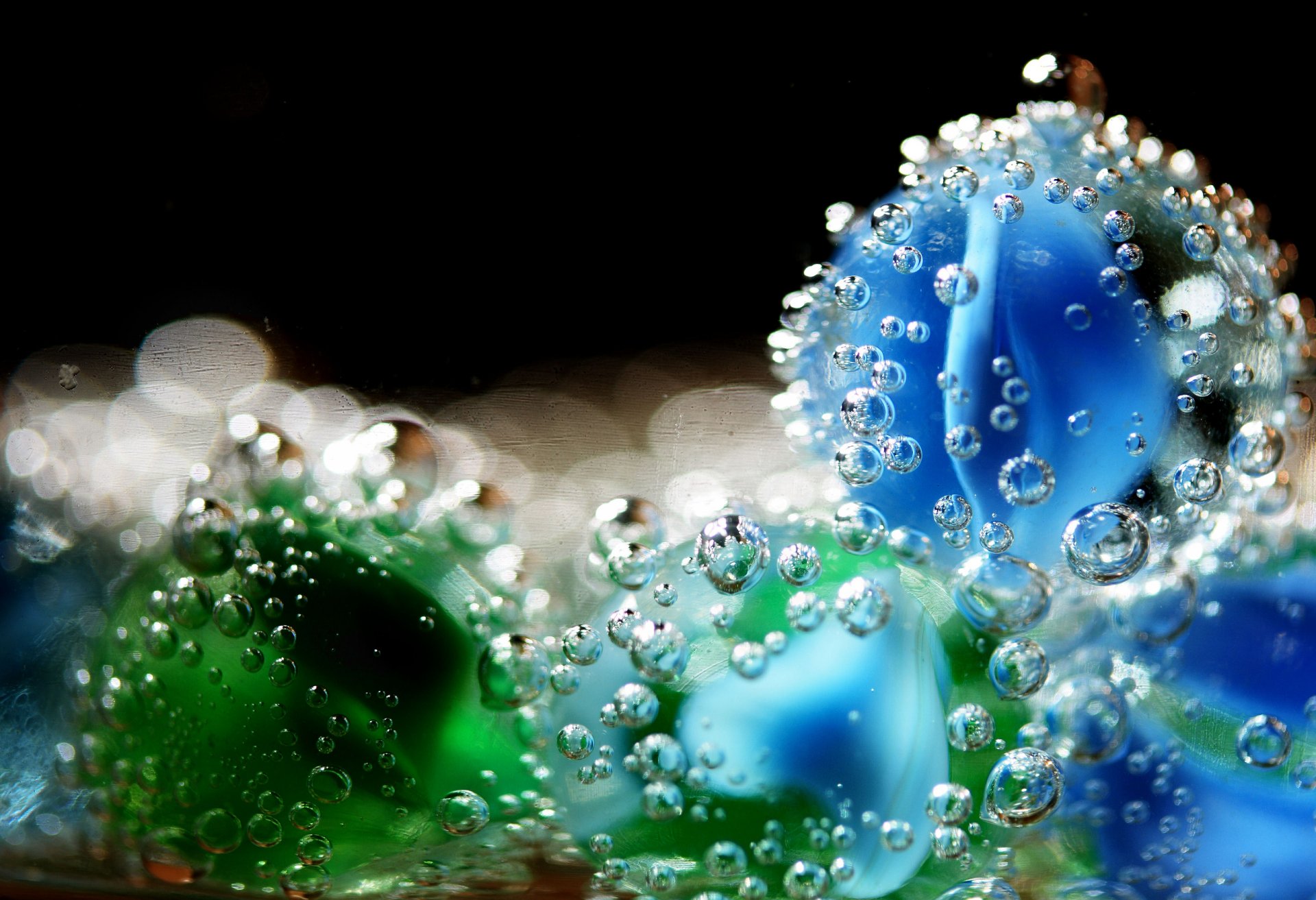 close up drops flower droplet