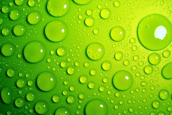 Green apple in drops of water