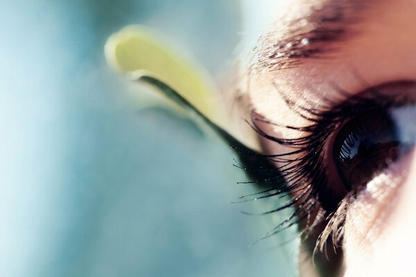 The look of a person on the photo of the eye