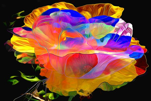 Colorful pattern with flower petals