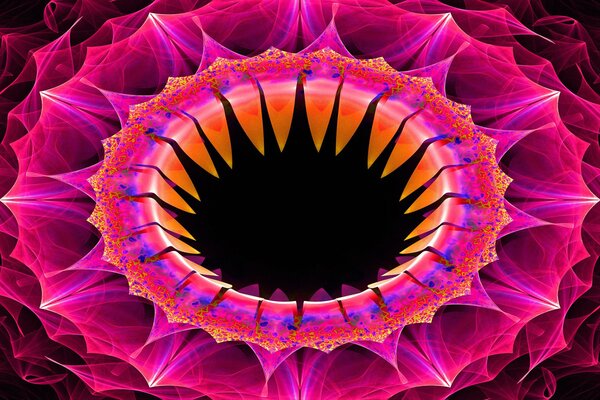 Pattern of pink lines in the form of a flower