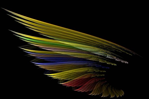 Feathers as an original and fashionable technique