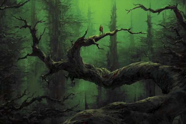 Gloomy forest at dusk