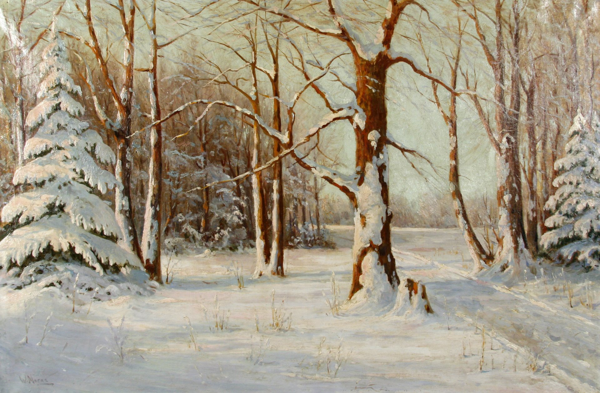 pattern landscape walter moras winter snow forest tree christmas tree