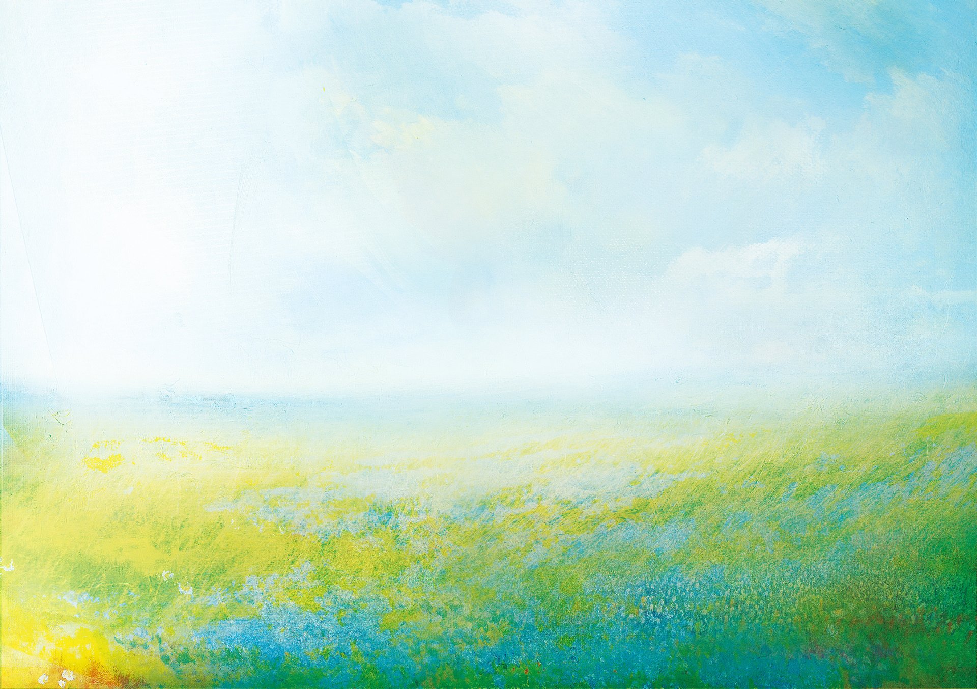 flower grass meadow wind sky clouds summer nature